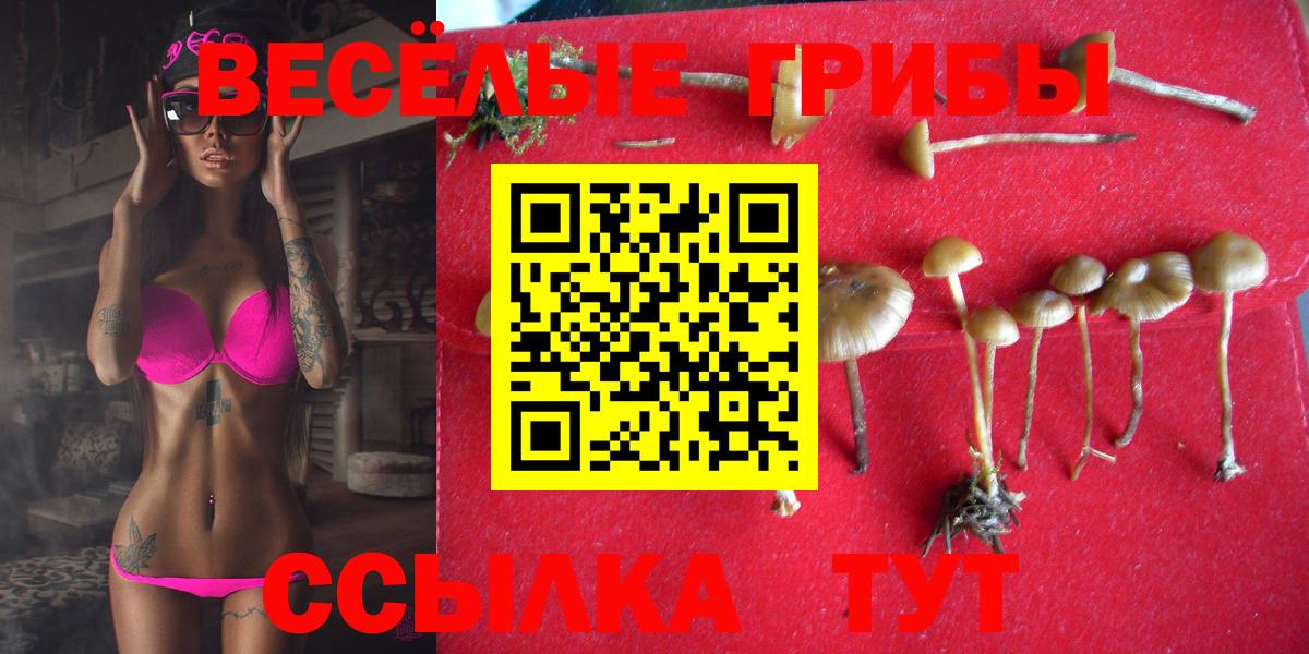 Ишим  Галлюциногенные грибы мицелий  Псилоцибиновые грибы мухоморы  Вход с VPN 